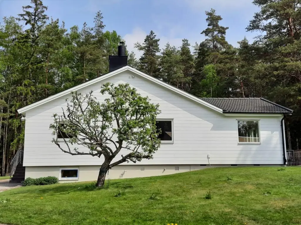 Snygga Sverigepanelen ändsopontad.