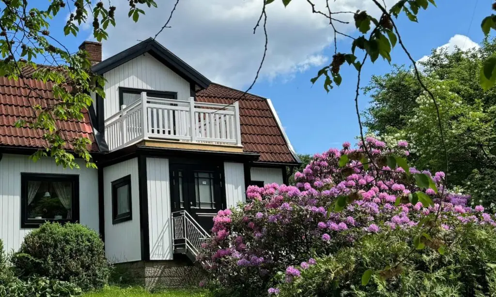 Exklusivpanelen i lummig miljö